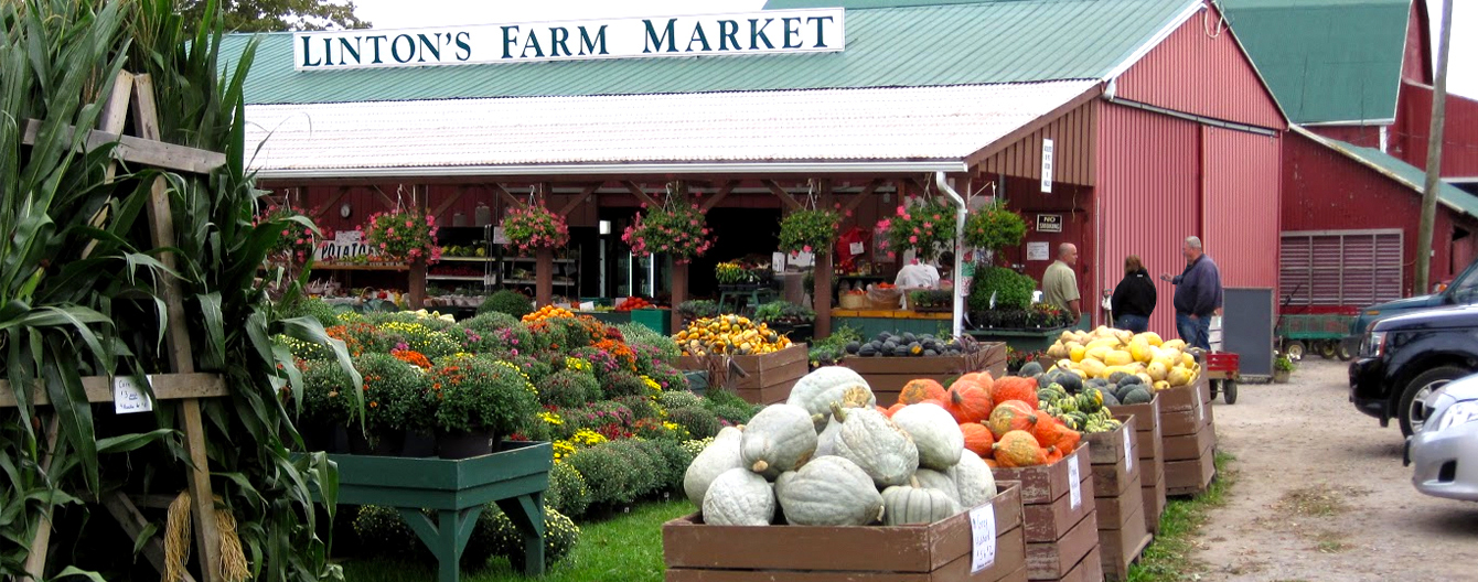 Linton's Farm Market Banner
