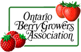 Ontario Berry Growers Association